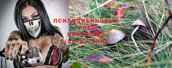 амф Горно-Алтайск