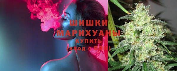 амф Горно-Алтайск
