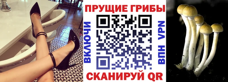 Купить  Олонец  Псилоцибиновые грибы ЛСД 