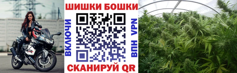 Купить где  Олонец  Канабис план 